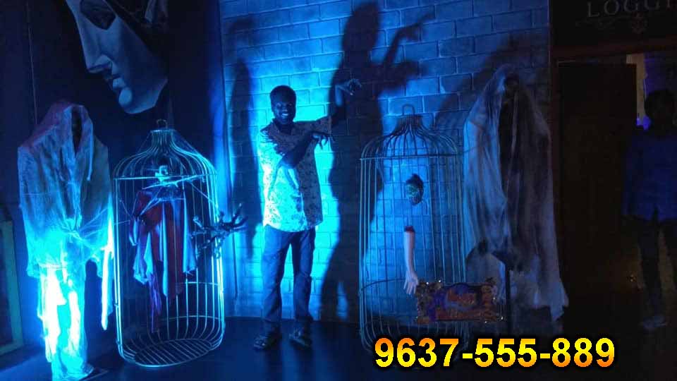 
halloween party favors near me in pune, halloween party decorations in pune, name a popular halloween party decoration in pune, 
